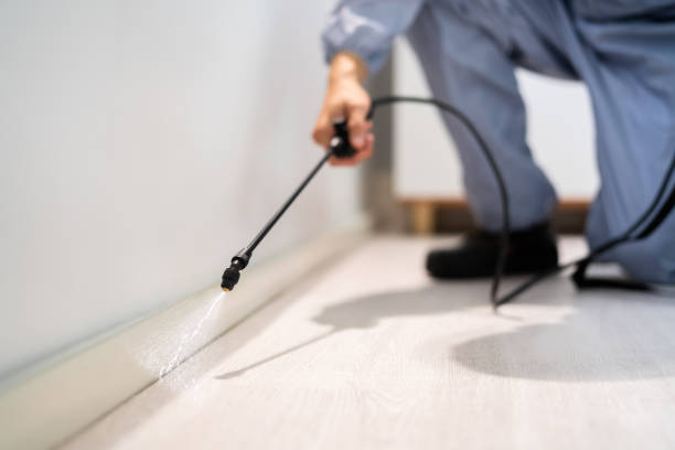 Licensed Termite Control service in Hudsonville, MI - Nex Pest Control