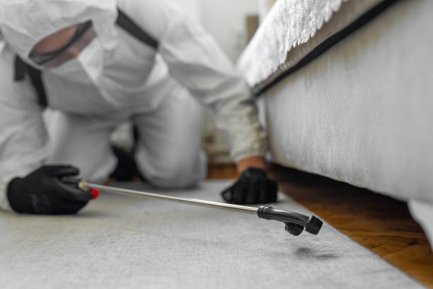 Professional Termite Control technician working in Hudsonville, MI
