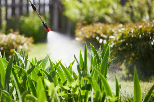 24/7 Emergency Termite Control experts in Hudsonville, MI