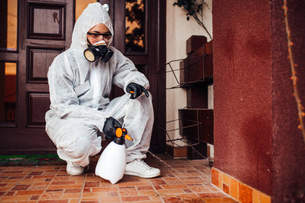 Reliable Termite Control contractor in Hudsonville, MI by Nex Pest Control