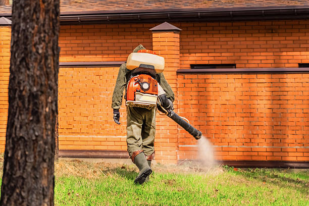 Trusted Ant Control service in Hudsonville, MI - Nex Pest Control